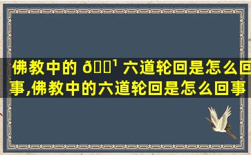 佛教中的 🌹 六道轮回是怎么回事,佛教中的六道轮回是怎么回事